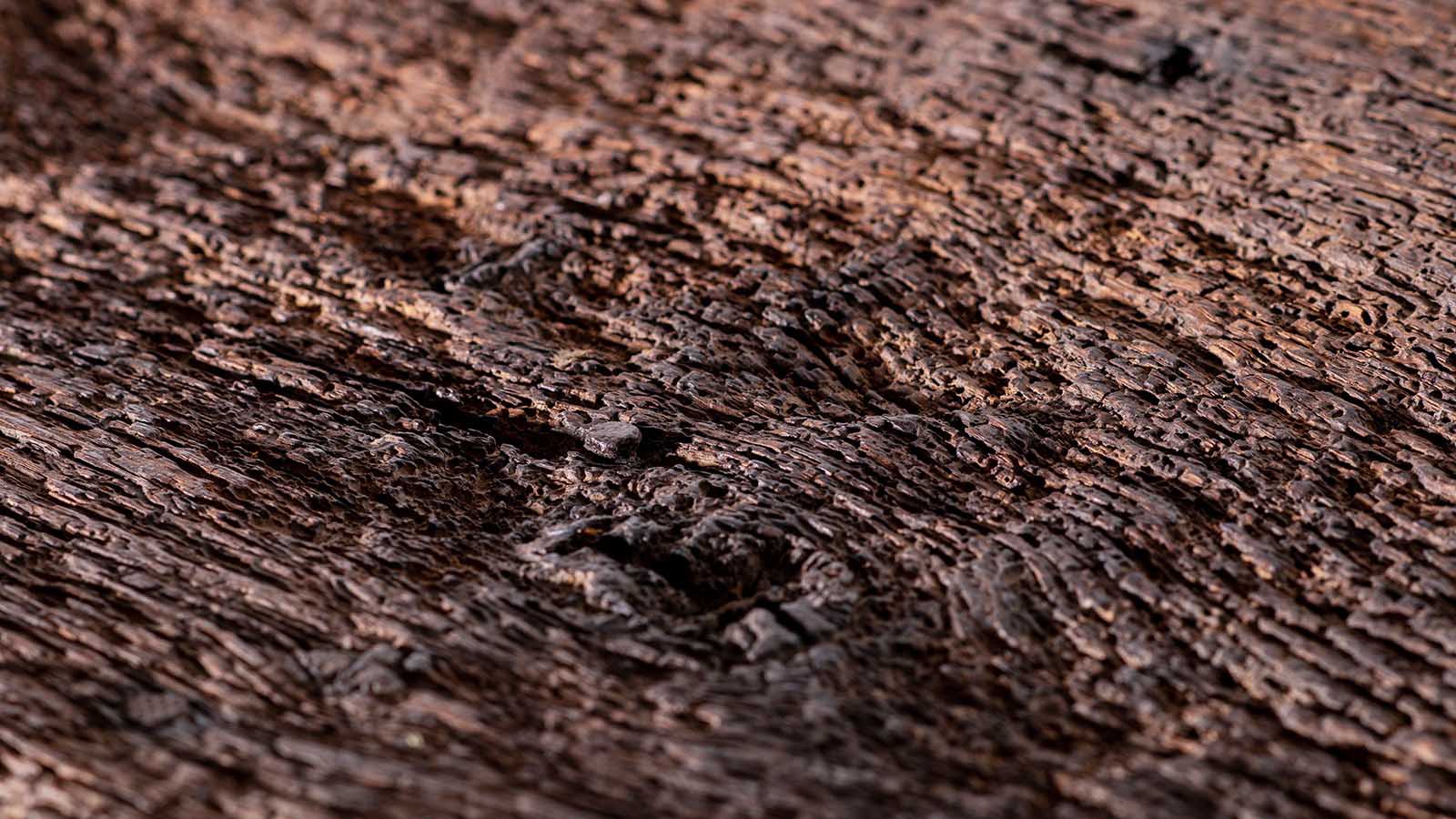 Original oak tongue and groove floorboard reclaimed and reused for unique furniture