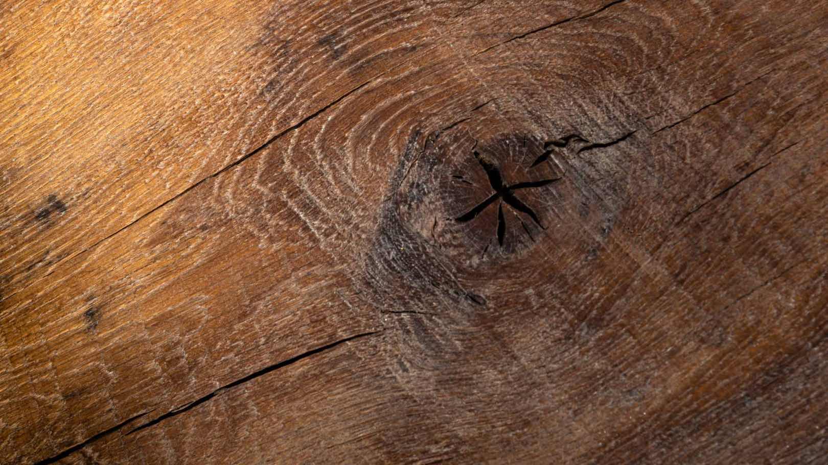 Solid oak board from a former monastery reclaimed and reused for unique coat rack